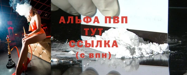 спиды Верея