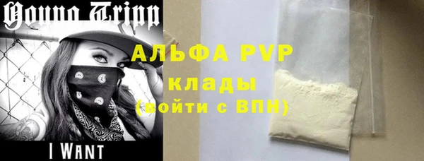 спиды Верея