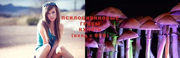 спиды Верея