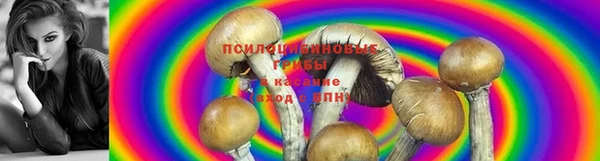 СК Верхний Тагил