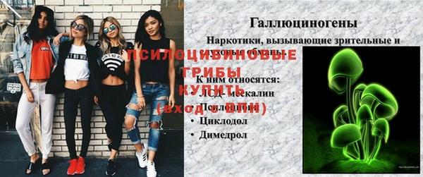 СК Верхний Тагил