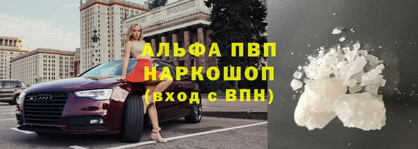 СК Верхний Тагил