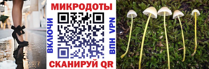 Галлюциногенные грибы Psilocybe  Омутнинск 